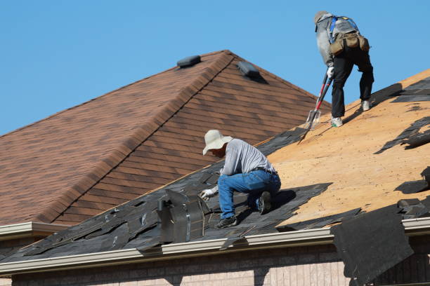 Best Roof Coating and Sealing  in Silver Springs Shores, FL